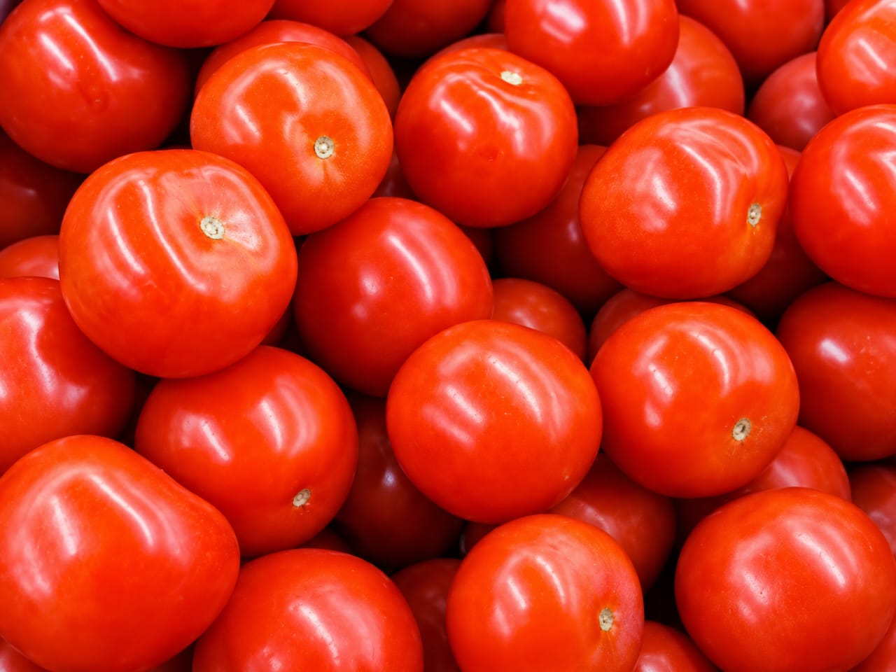 Tomato